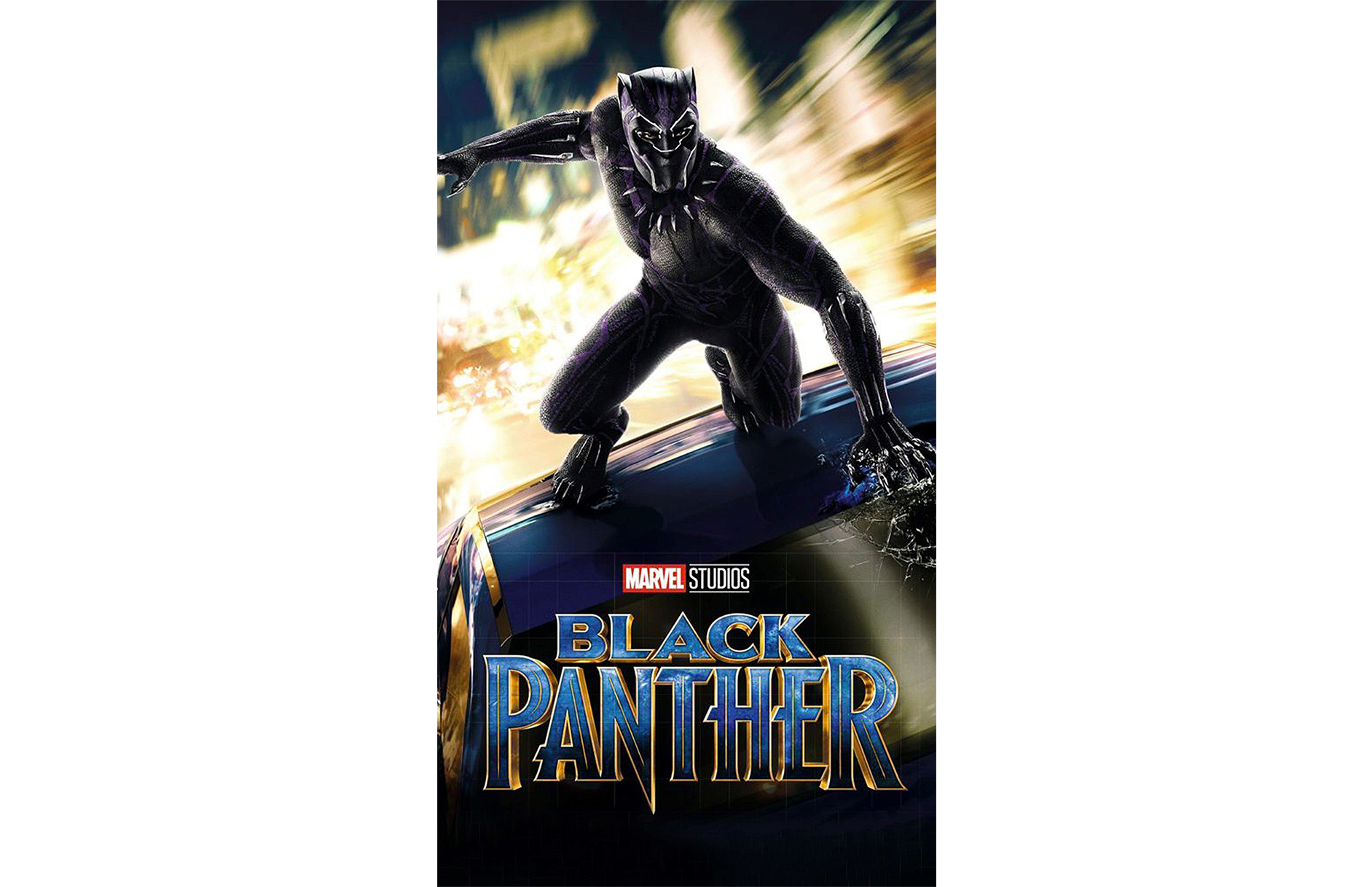 Black Panther Poster Banner