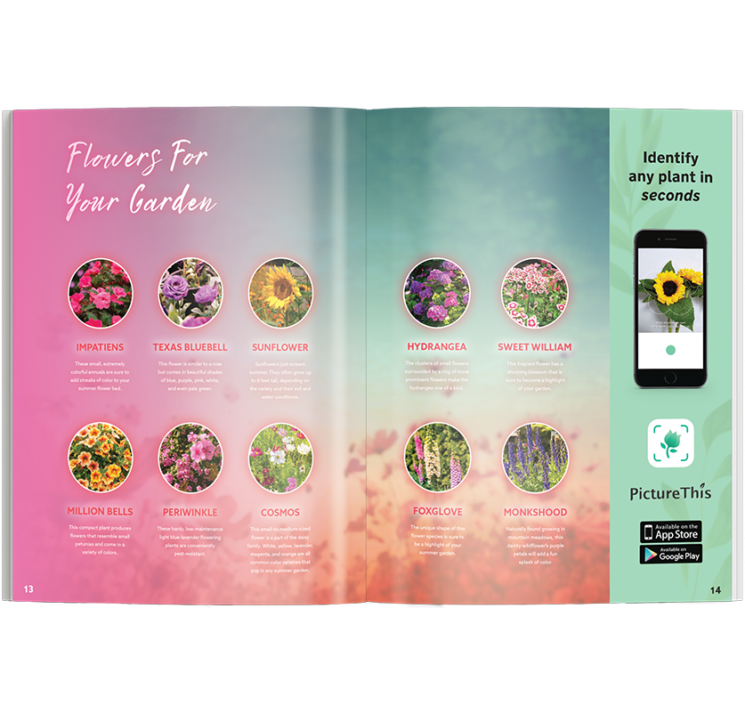 Follow-Up Spread Mockup